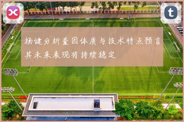 杨健分析奎因体质与技术特点预言其未来表现将持续稳定