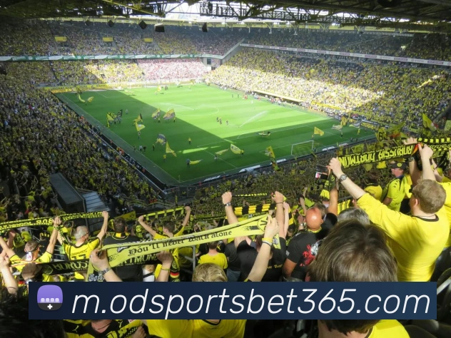 od体育服务体系